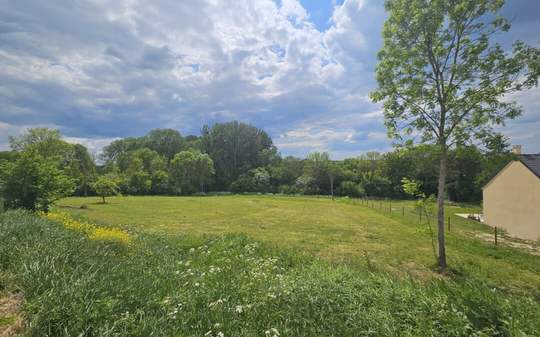 Terrain à bâtir Saint-Martin-de-Nigelles 1 960 m²