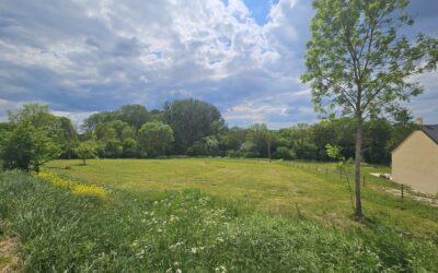 Terrain à bâtir Saint-Martin-de-Nigelles 1 960 m²
